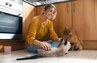 Pet Sitting Rates in 2022: Prices Per Hour & Per Day