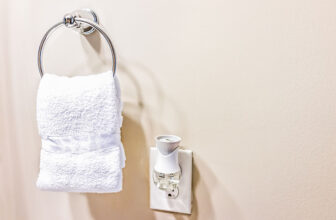 Is a Plug-In Air Freshener Safe for a Cat? Vet Approved Facts & FAQ