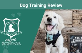 The Puppy Academy Review 2024: Our Expert’s Opinion